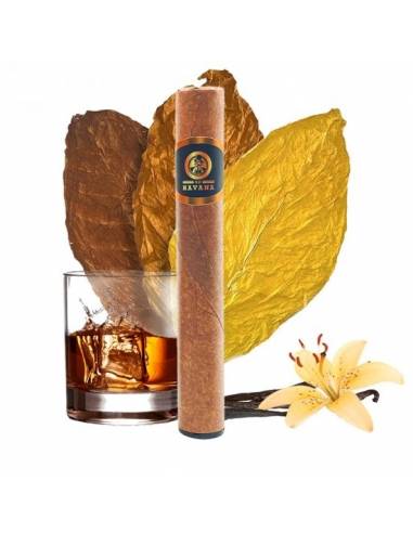 E-Cigar Cubana 600 puffs de la marque XO Havana